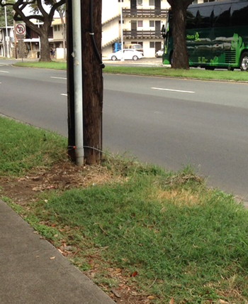 The street without the man or the flowers