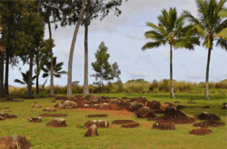 The birthing stones at Kūkaniloko