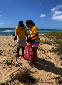 beach cleanup picture