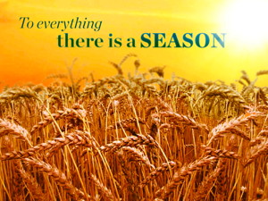 To everything there is a season graphic