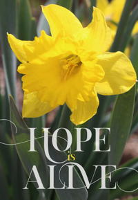 Hope is alive graphic