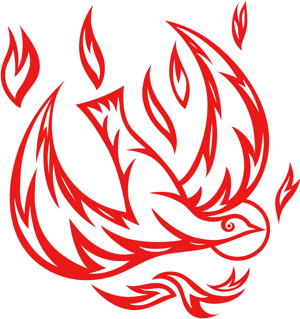 Pentecost dove graphic