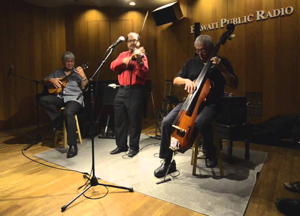 Summer String Swing, photo: Hawaii Public Radio