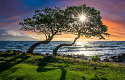 image: Sundown on Maui. licensed from shutterstock