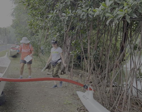 Cleaning up the Ala Wai watershed