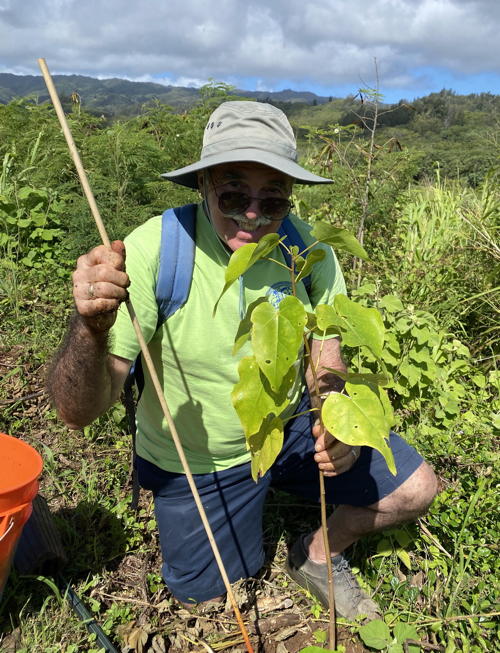 Randy Castello plants a native tree