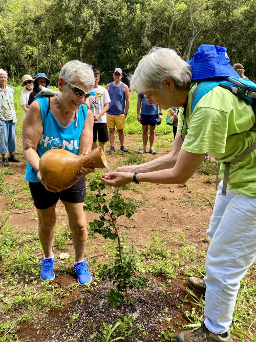 Blessings poured out! Cindy and Pr. Phyllis water the ‘ōhi‘a lehua tree that LCH planted.