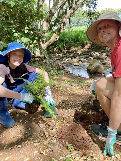 Thomas and Michael Boem plant ferns along Hale‘iwa stream.