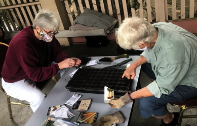 Phyllis Hörmann and Carol Langner plant seeds