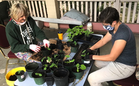 Peggy Anderson and Vicar Bree up-pot some of the seedlings