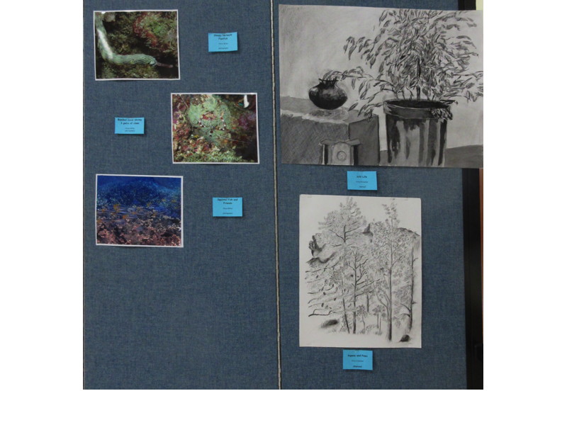 Items Displayed at Faith and Arts Sunday (top to bottom and left to right)—“Sleepy Network Pipefish,” “Banded Coral Shrimp (3 pairs of claws),” “Squirrel Fish and Friends” (photography) by Steve Miller; “Still Life” and “Aspens and Pines” (charcoal) by Fritz Fritschel